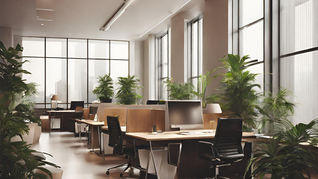 How to Transform your Work Space with Plants