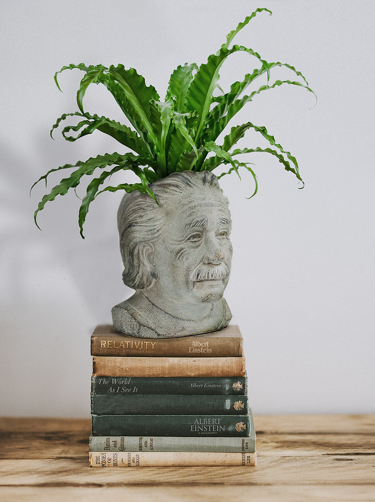 Einstein Planter
