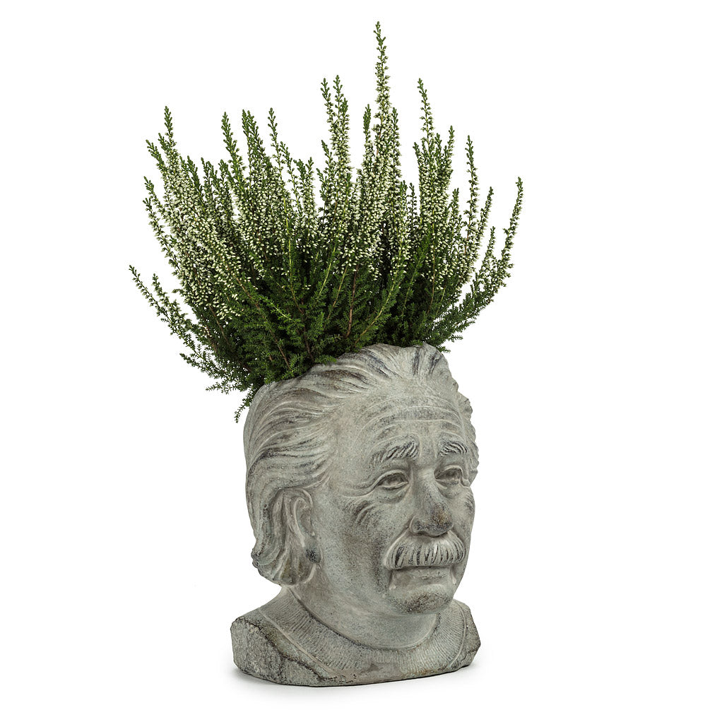 Einstein Planter