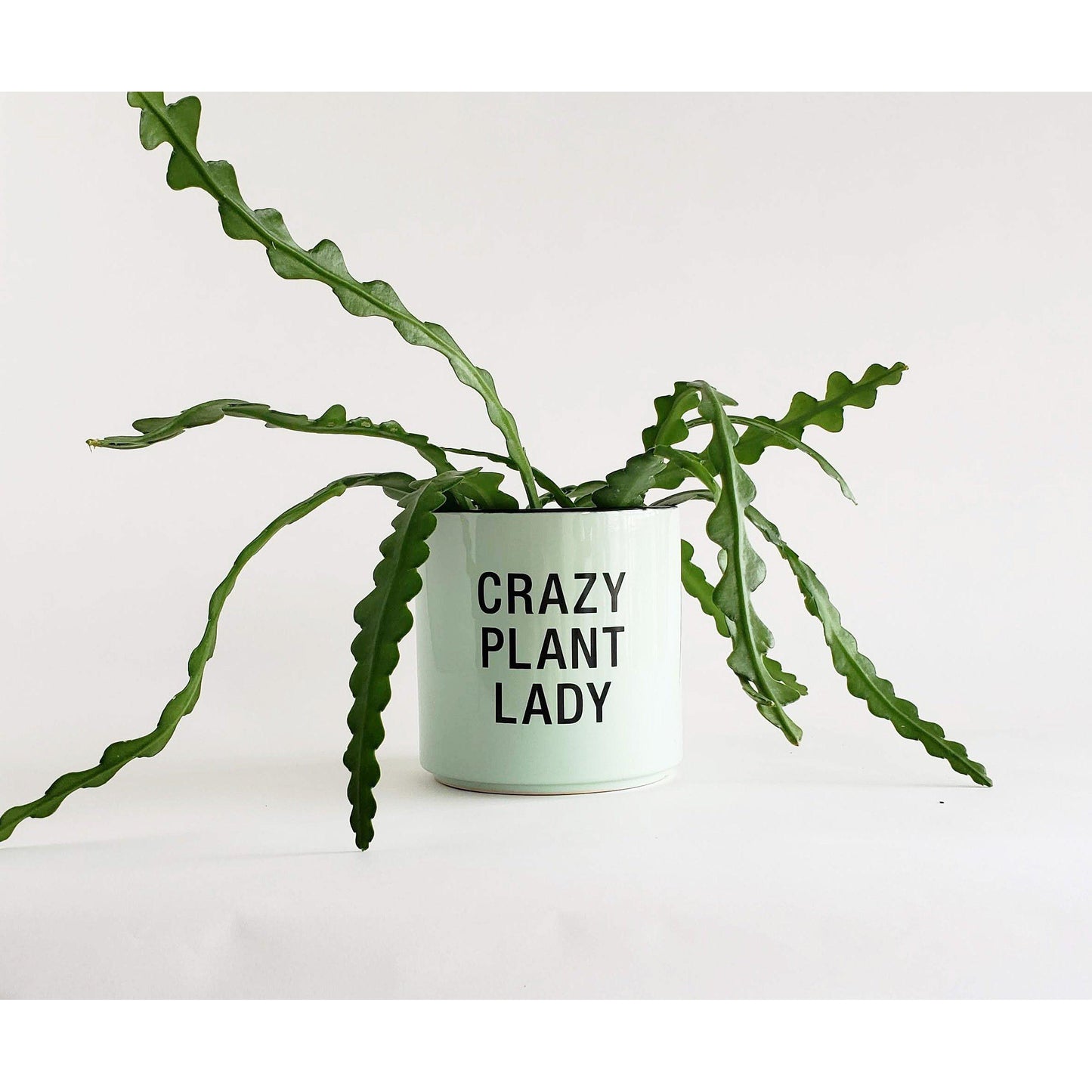 Crazy Plant Lady Pot