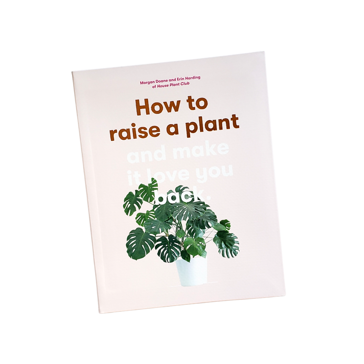 How to Raise A Plant and Make it Love You Back