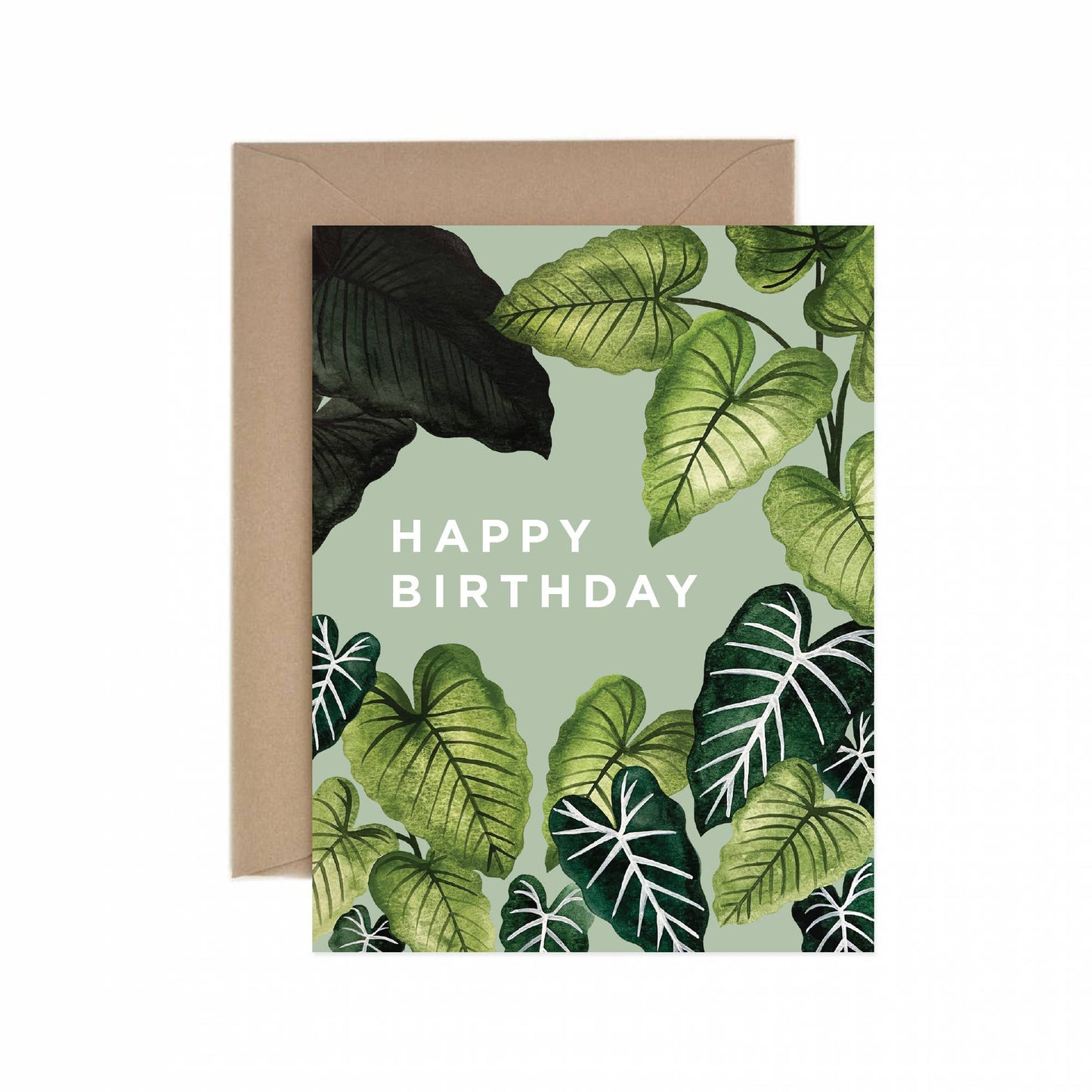 Alocasia Happy Birthday Card