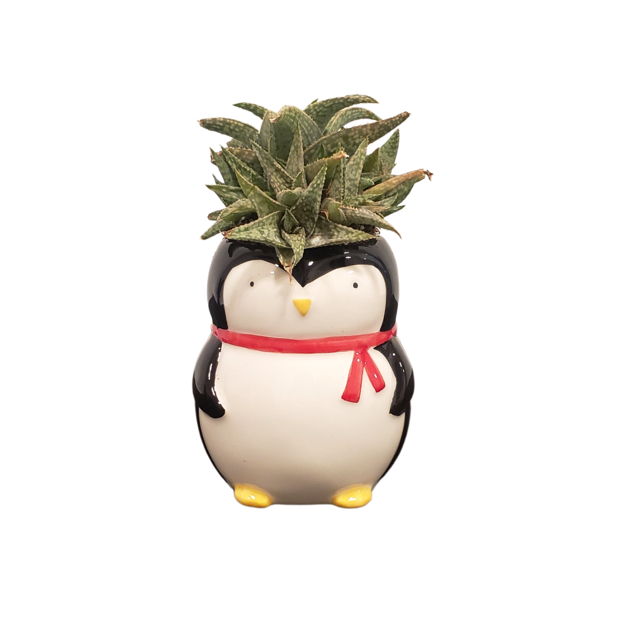 Christmas Penguin Planter